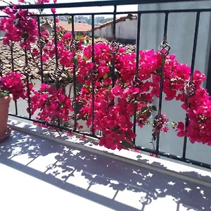 Ξενοδοχείο Casa Magnolia Boutique Κουσάντασι